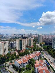 Chuan Park (D19), Condominium #460859071